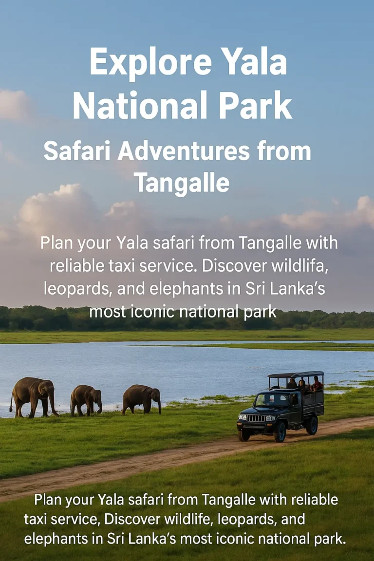 Explore Yala National Park: Safari Adventures from Tangalle